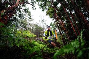 BIB: 
                            <button type="button" onclick="openModal(26201490)" class="btn btn-primary btn-sm float-right btn-popup" data-toggle="modal" data-target=".modal-high-quality">
                        <i class="fas fa-shopping-cart"></i> Add to Cart
                    </button>
                                            <button type="button" onclick="isThisMe(26201490, true)" class="btn btn-success btn-sm float-right btn-popup btn-isme hidden" data-toggle="tooltip" data-placement="bottom" title="นี่คือรูปของคุณใช่ไหม คลิกที่นี่เพื่อเอาเข้าอัลบั้ม">
                        <i class="fas fa-plus"></i> Add to album
                    </button>
                    <button type="button" onclick="isThisMe(26201490, false)" class="btn btn-warning btn-sm float-right btn-popup btn-isnotme hidden">
                        <i class="fas fa-ban"></i> Remove from album
                    </button>